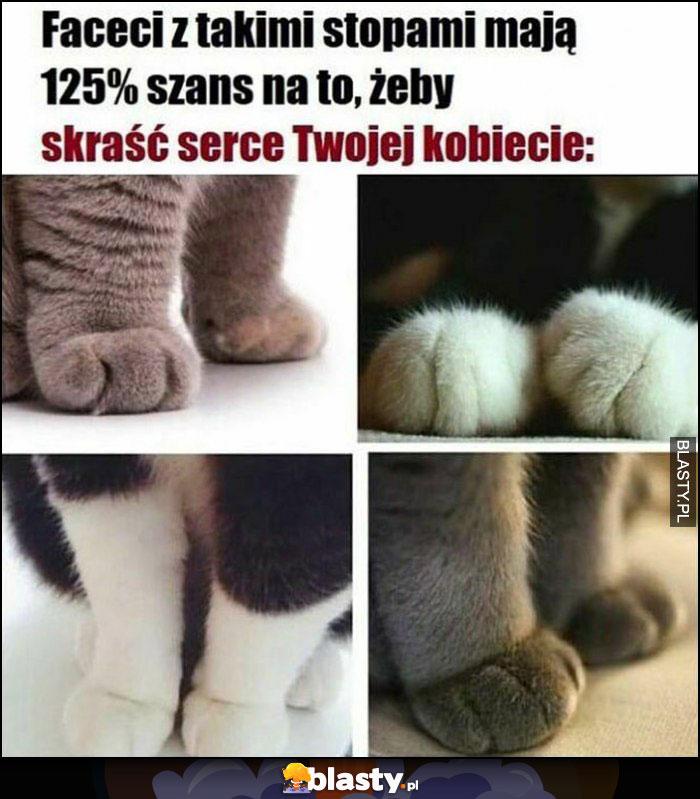 Faceci z takimi stopami mają 125% szans na to, żeby skraść serce Twojej kobiecie kot koty