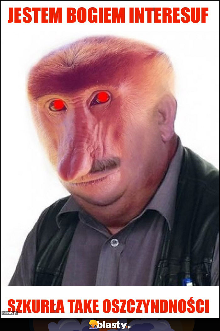Jestem bogiem interesuf