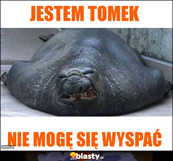 Jestem Tomek
