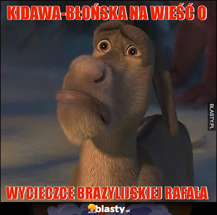 Kidawa-Błońska na wieść o