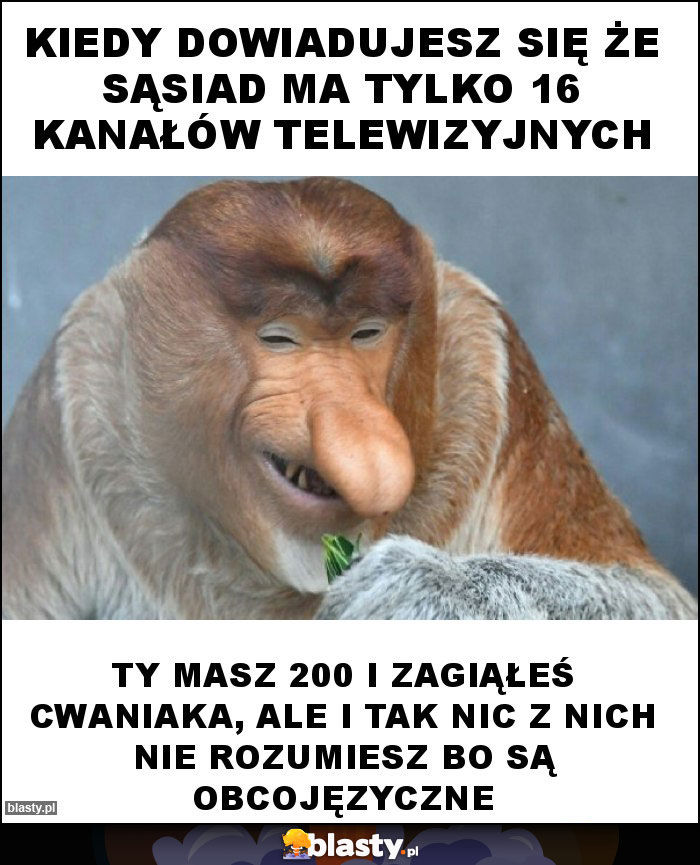 Kiedy dowiadujesz się że sąsiad ma tylko 16 kanałów telewizyjnych