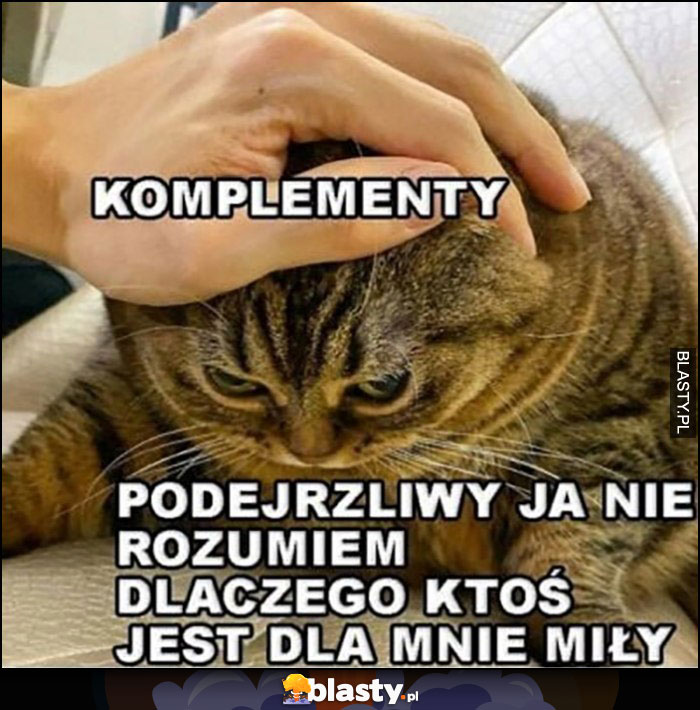 Kot komplementy, podejrzliwy ja nie rozumiem dlaczego ktoś jest dla mnie miły