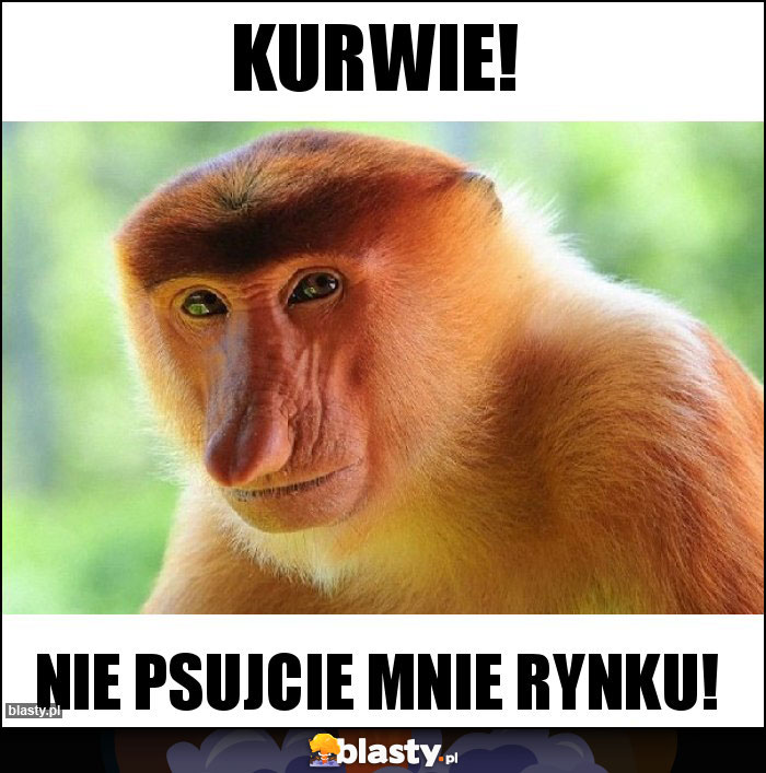 KURWIE!