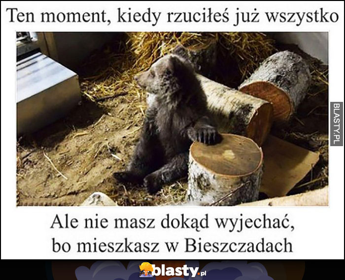 Miś niedźwiadek ten moment, kiedy rzuciłeś już wszystko ale nie wiesz dokąd wyjechać, bo mieszkasz w Bieszczadach