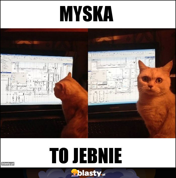 Myska