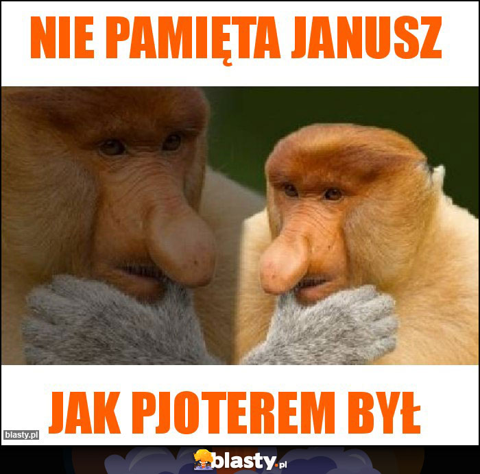 nie-pamieta-janusz_2020-07-22_12-37-37.j