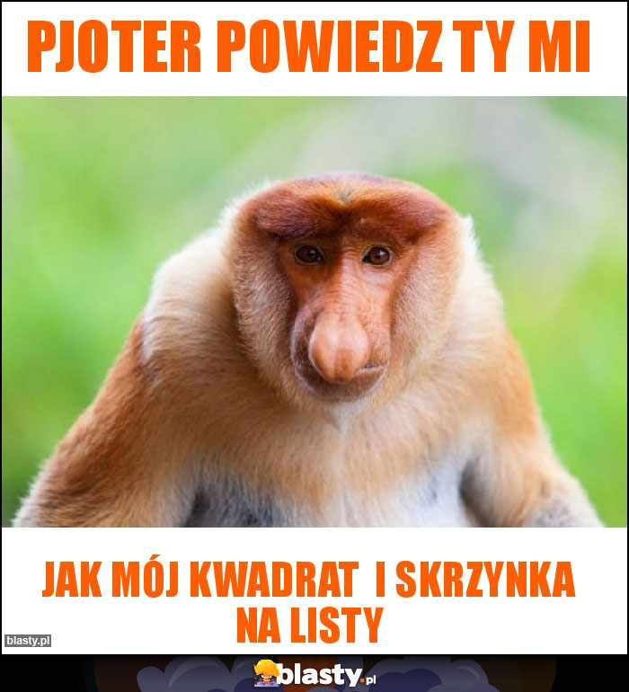 Pjoter powiedz ty mi