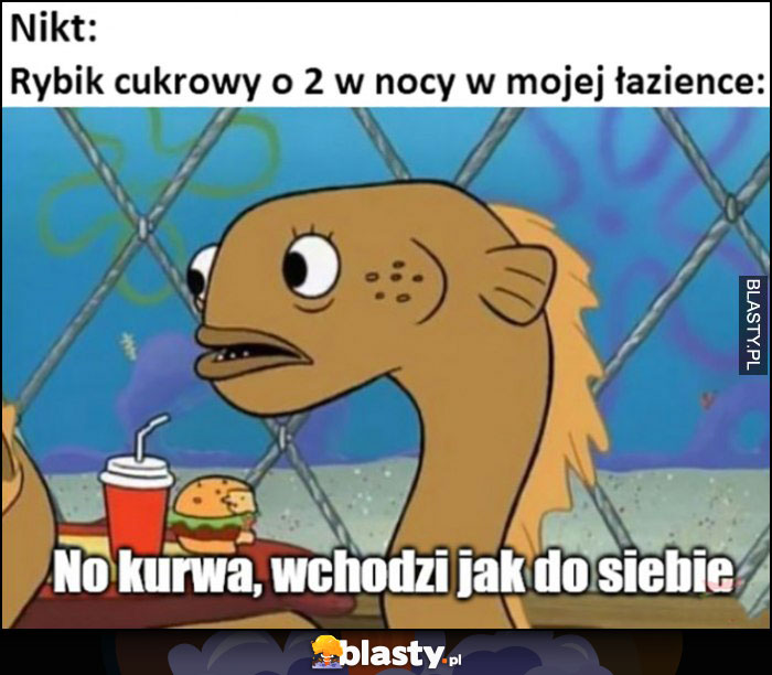 Rybik cukrowy o 2 w nocy w mojej łazience: no kurna, wchodzi jak do siebie