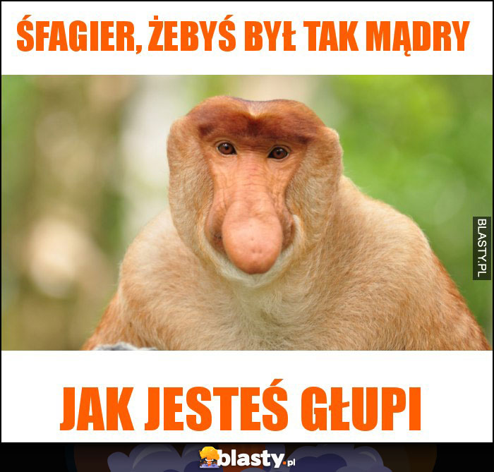 Śfagier, żebyś był tak mądry