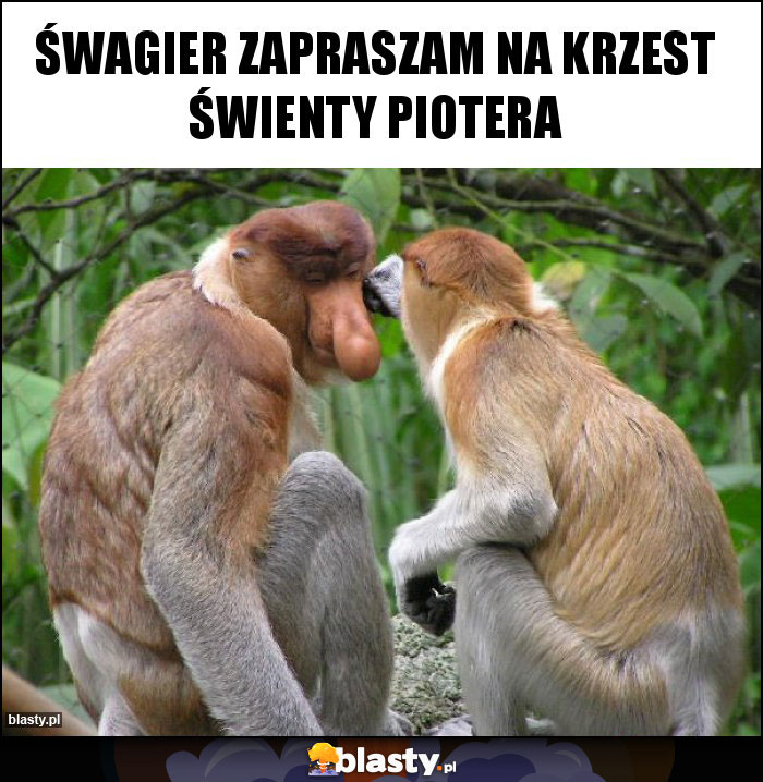 Śwagier zapraszam na krzest świenty Piotera