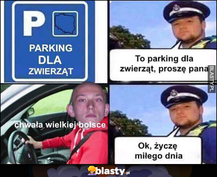 To parking dla zwierząt prosze pana, chwała wielkiej polsce typowy Mati, ok życzę miłego dnia