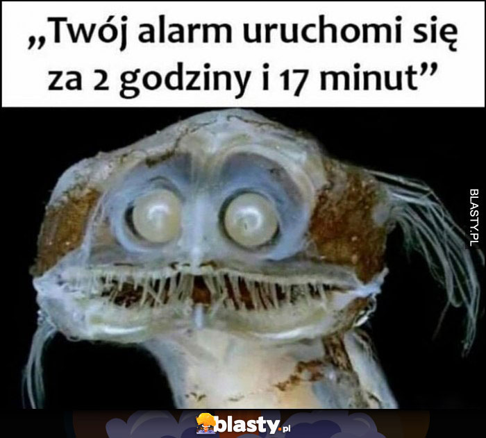 Twój alarm uruchomi się za 2 godziny i 17 minut