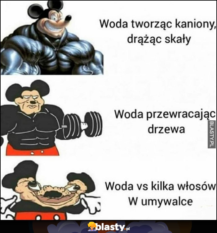 Woda tworząc kaniony, drążąc skały, przewracając drzewa. Woda vs kilka włosów w umywalce Myszka Miki