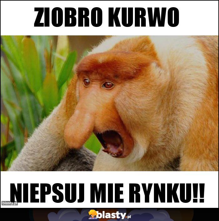 Ziobro kurwo