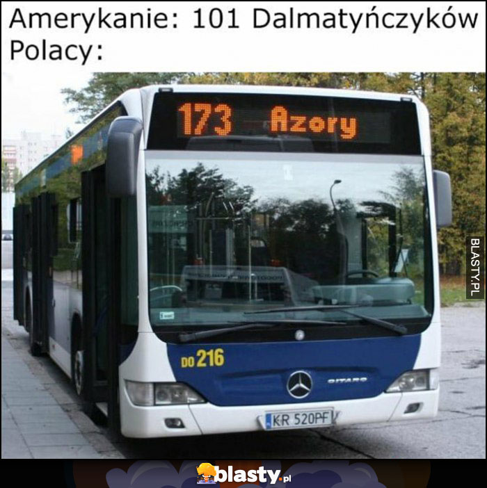 Amerykanie: 101 dalmatyńczyków, Polacy: 173 azory autobus