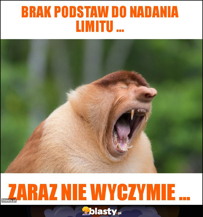 Brak podstaw do Nadania Limitu ...