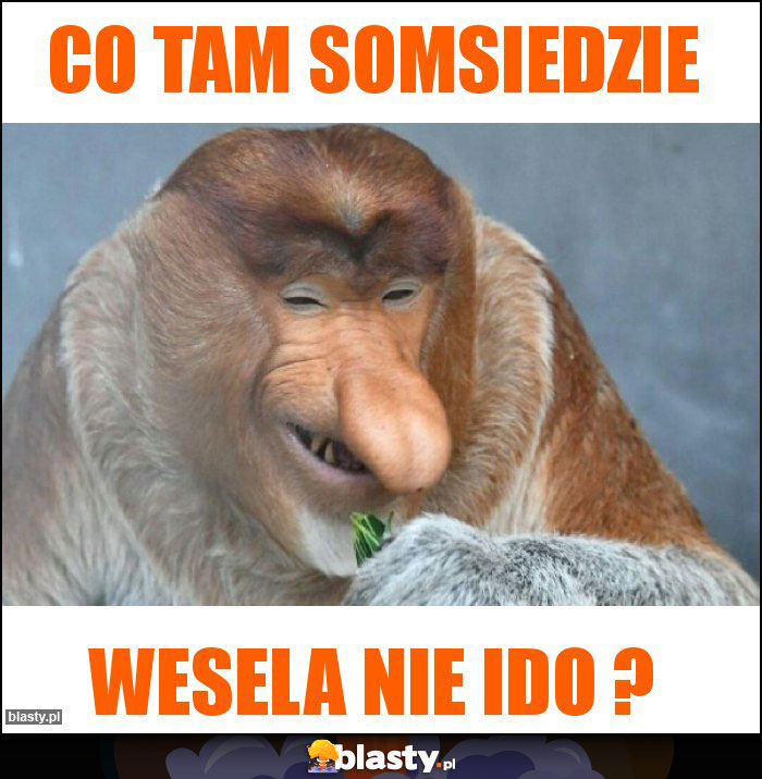 CO TAM SOMSIEDZIE