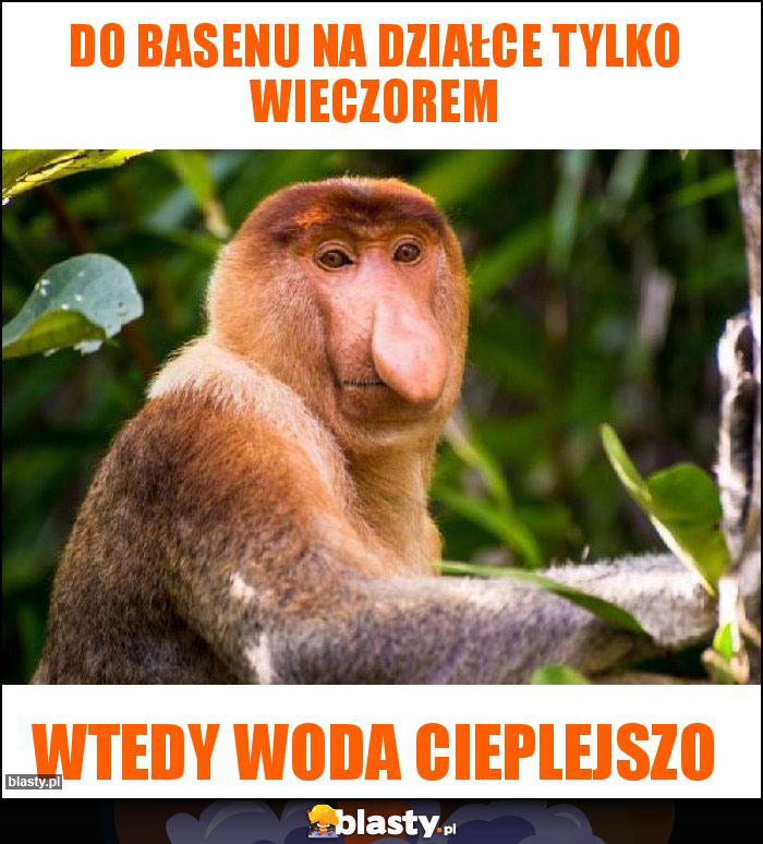 Do basenu na działce tylko wieczorem