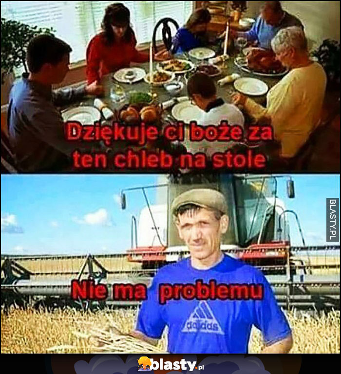 Dziękuję ci boże za ten chleb na stole, rolnik: nie ma problemu