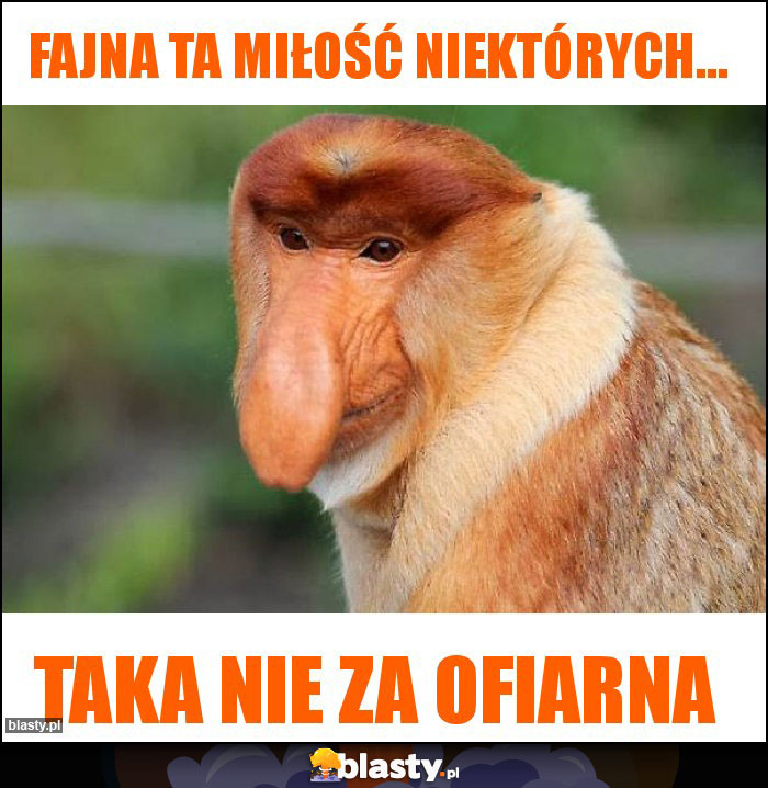 Fajna ta miłość niektórych...