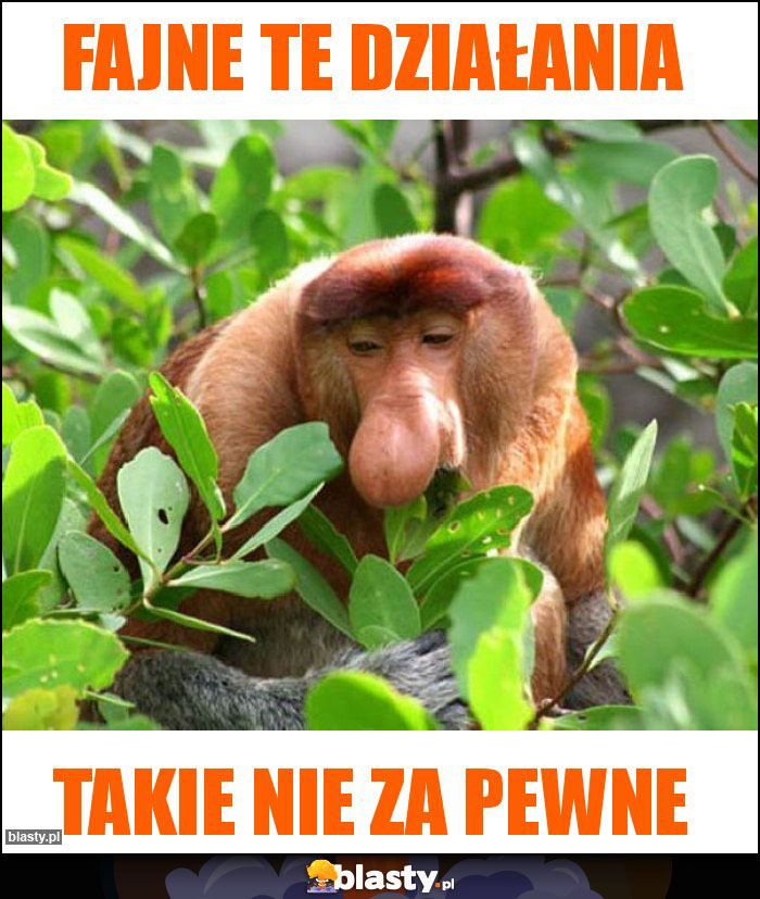 Fajne te działania