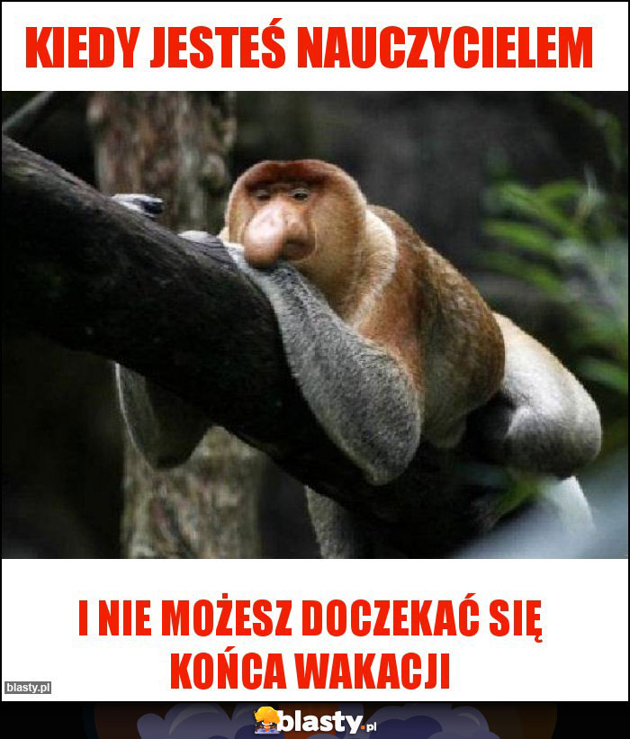 Kiedy jesteś nauczycielem