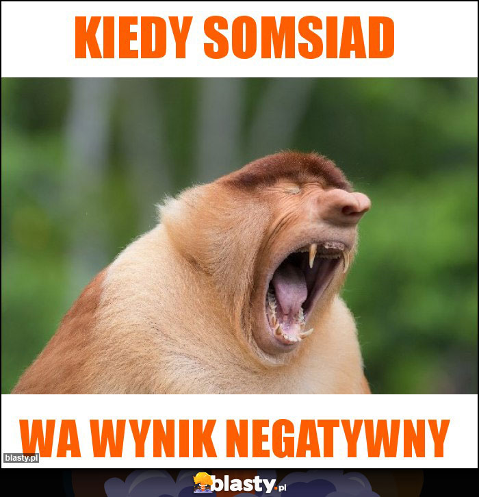 KIEDY SOMSIAD