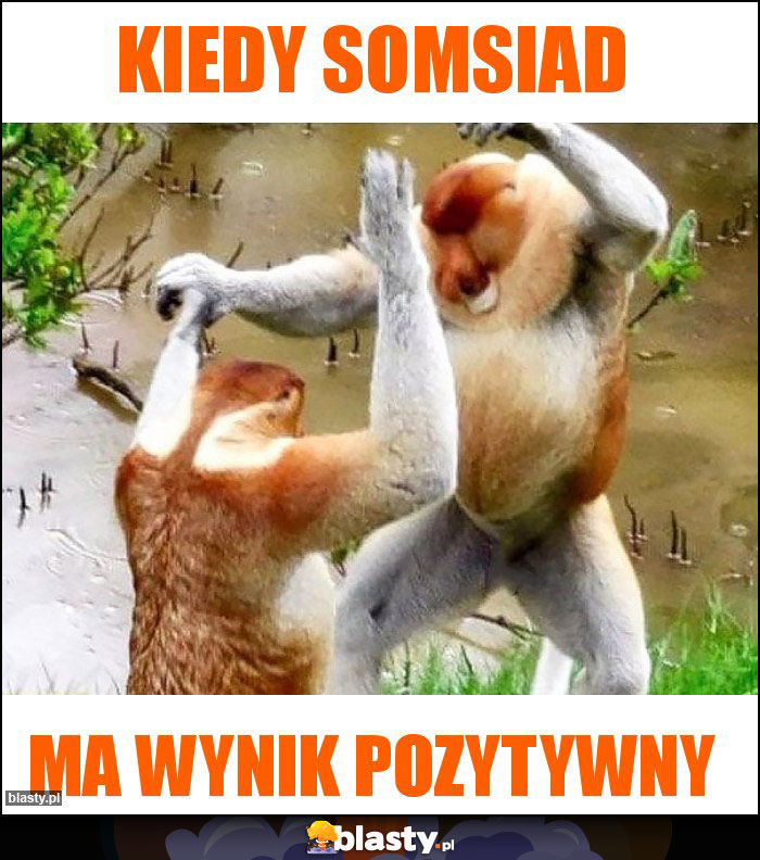 KIEDY SOMSIAD