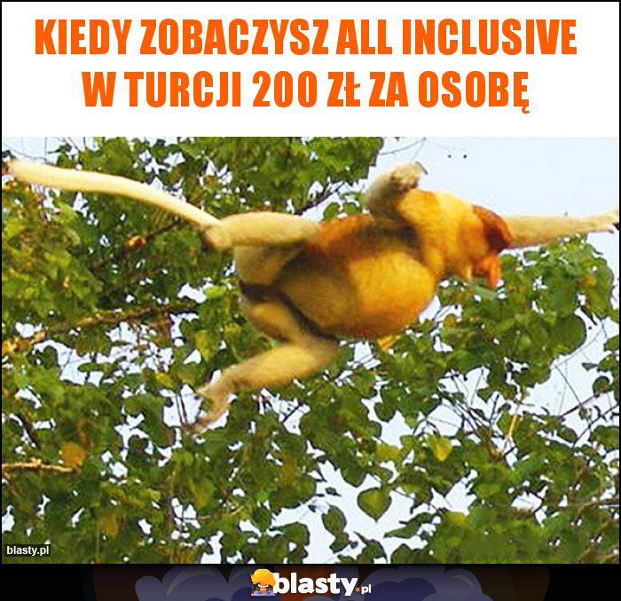 Kiedy zobaczysz all inclusive w Turcji 200 zł za osobę