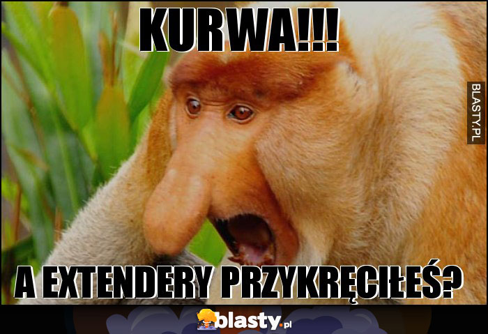 kurwa!!!