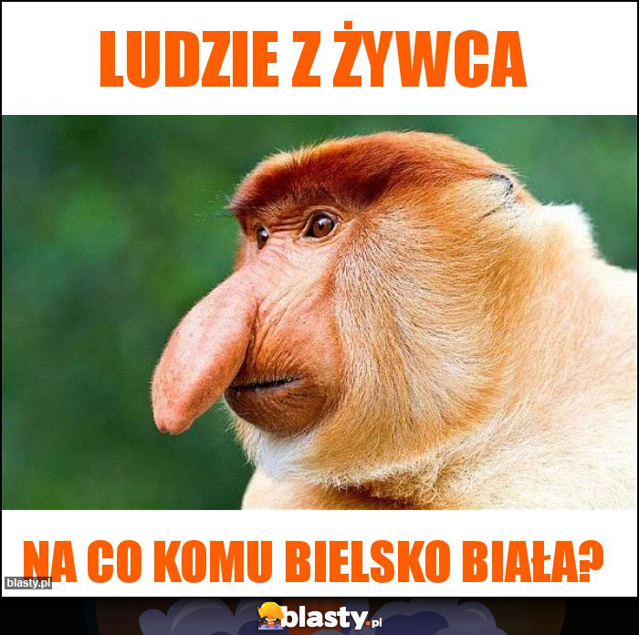 Ludzie z Żywca