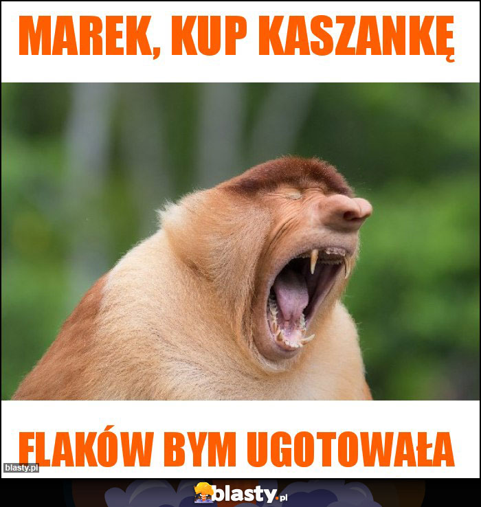 Marek, kup kaszankę