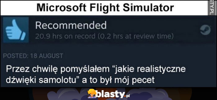 Microsoft Flight Simulator: przez chwilę myślałem 