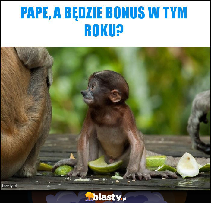 Pape, a będzie bonus w tym roku?
