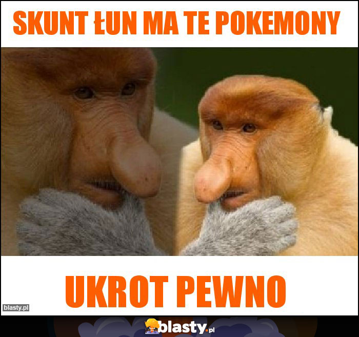 Skunt łun ma te pokemony