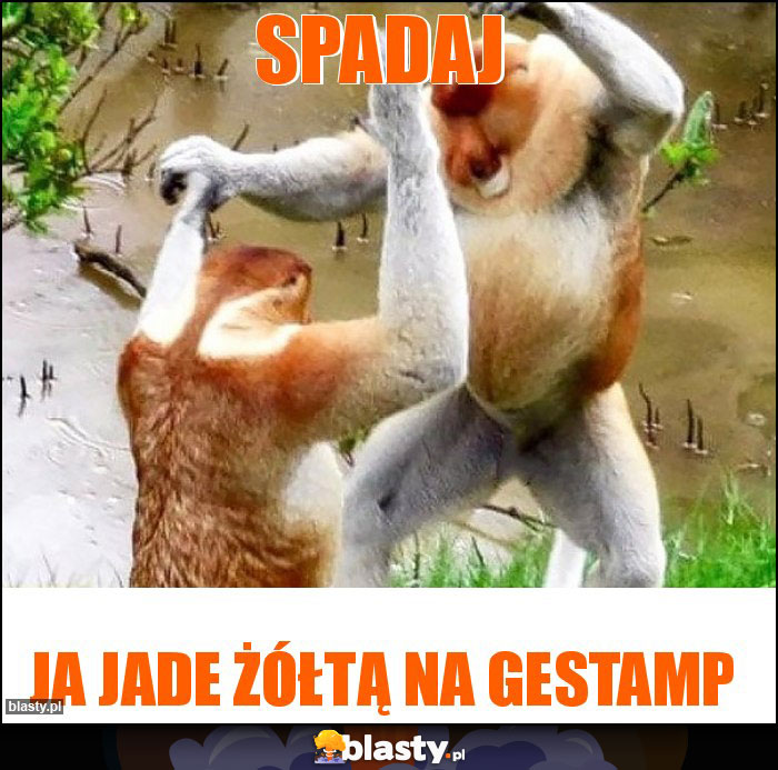 SPADAJ