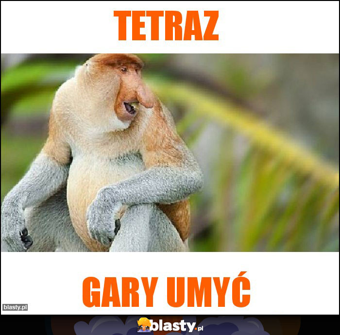 TETRAZ