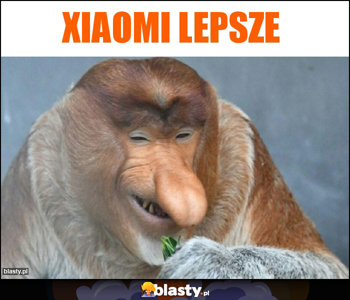 Xiaomi lepsze