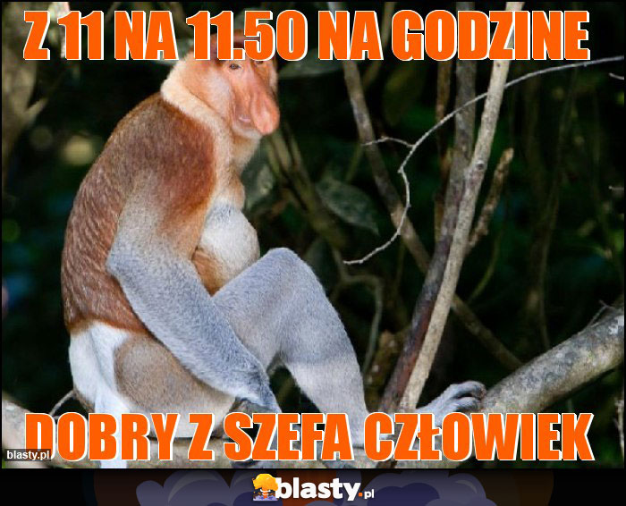 Z 11 na 11.50 na godzine