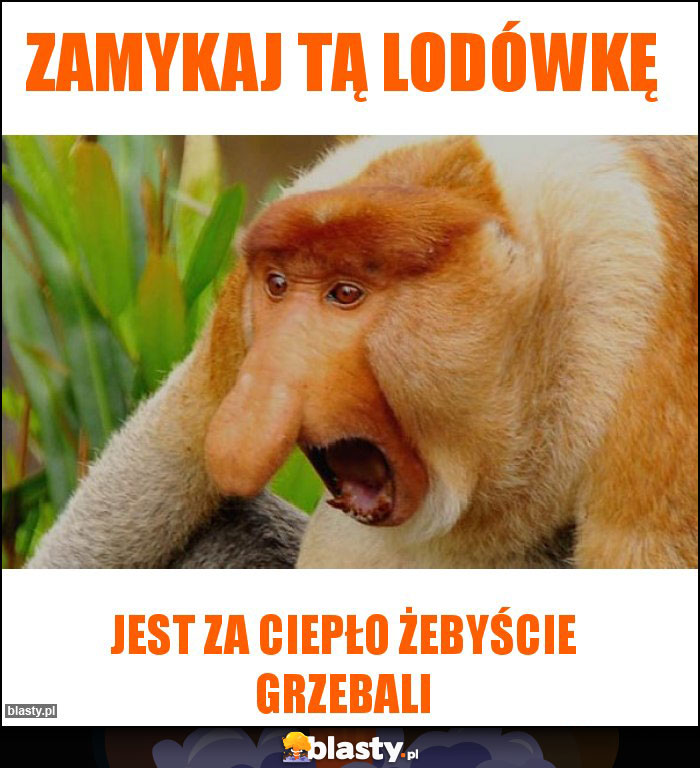 Zamykaj tą lodówkę