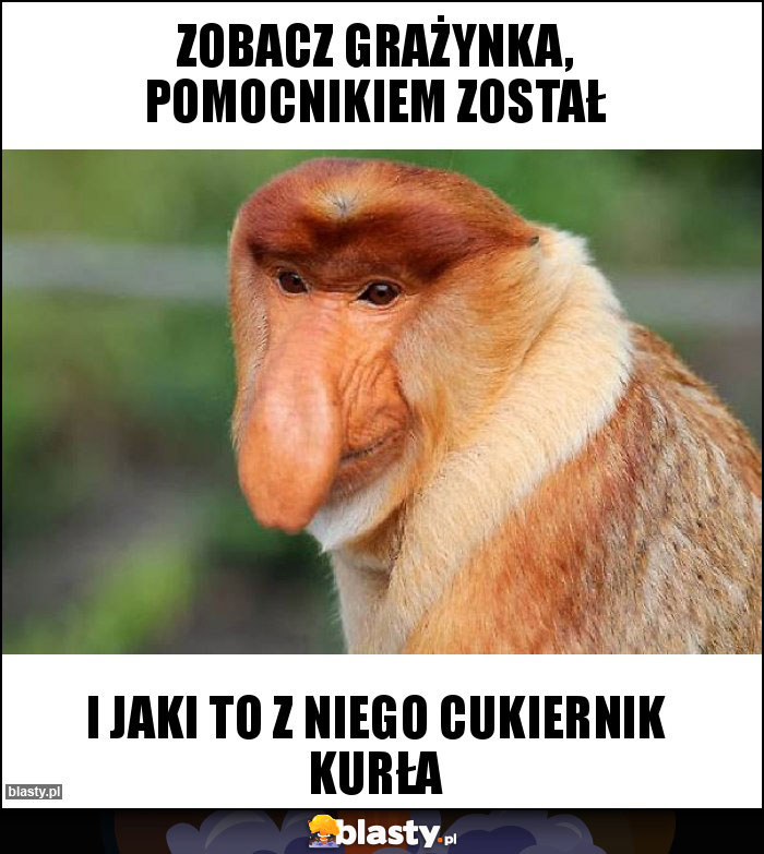 Zobacz Grażynka, pomocnikiem został