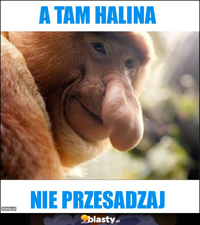 A tam Halina