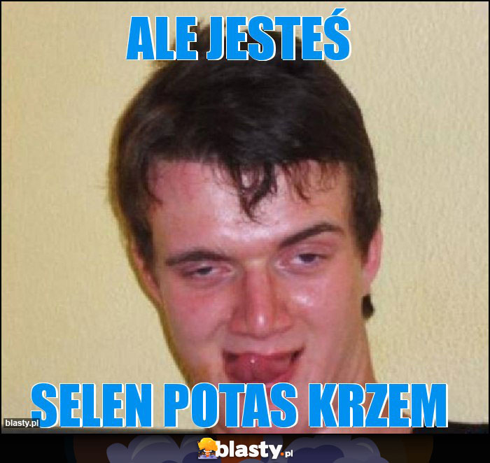 Ale jesteś