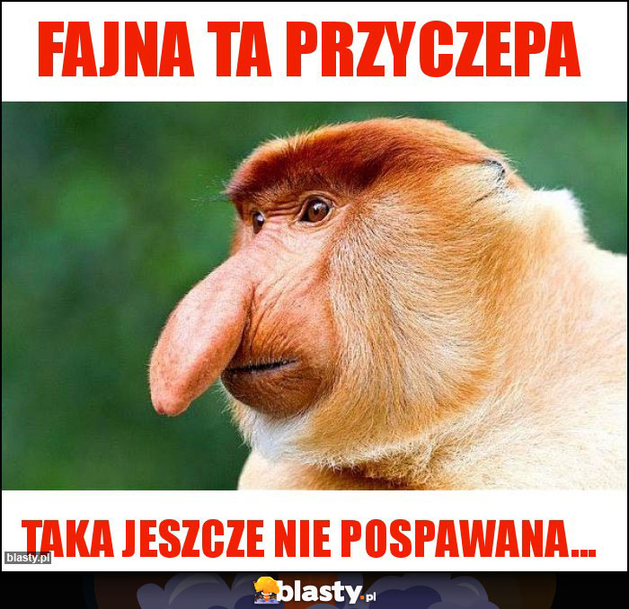 Fajna ta przyczepa
