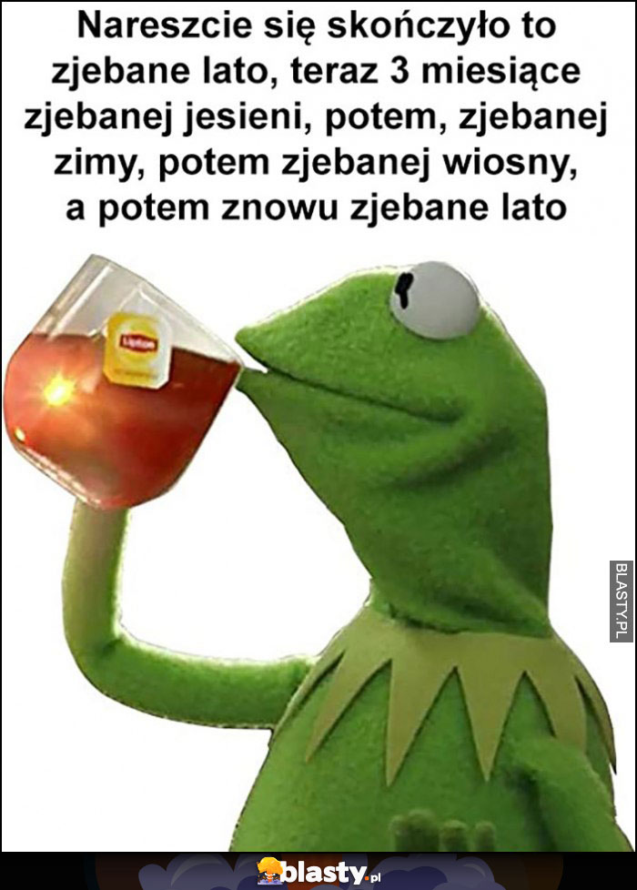 Kermit nareszcie skończyło się lato, teraz 3 miesiące jesieni, potem zimy, wiosny i znowu lato