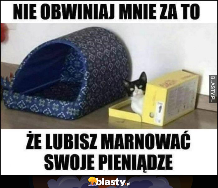 Kot w pudełku nie obwiniaj mnie za to, że lubisz marnować swoje pieniądze