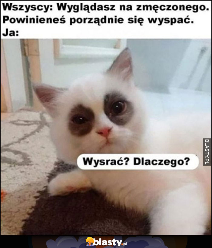 Kot wszyscy: wyglądasz na zmęczonego, powinieneś porządnie się wyspać. Ja: wysrać? dlaczego?