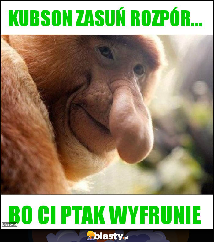 Kubson zasuń rozpór...