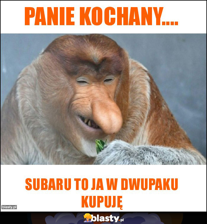 Panie kochany....