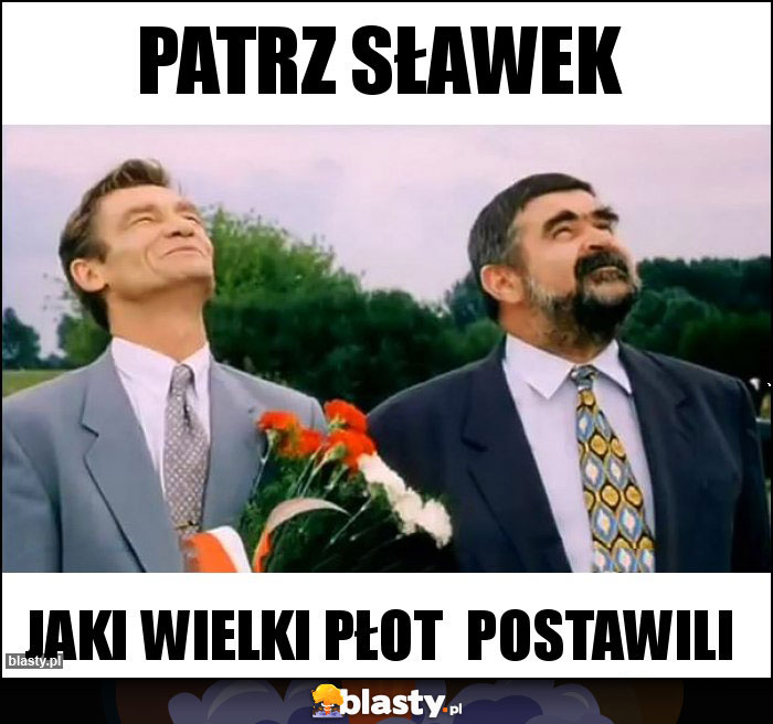 Patrz Sławek